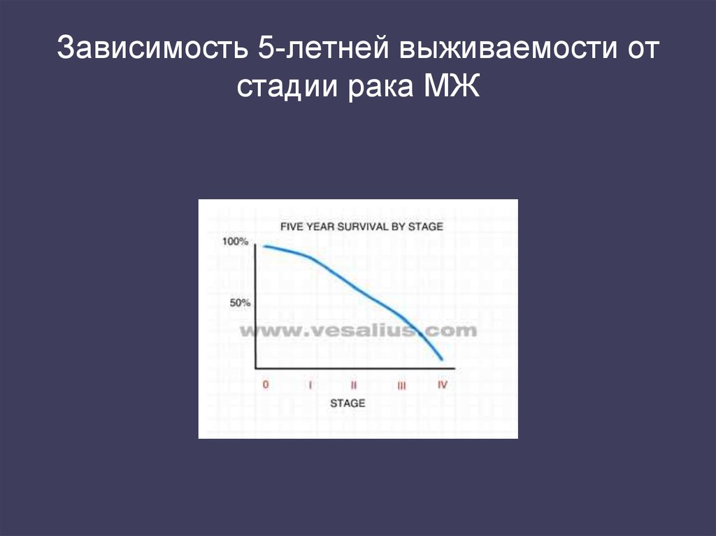 Рмж статистика выживаемости vmesteplus