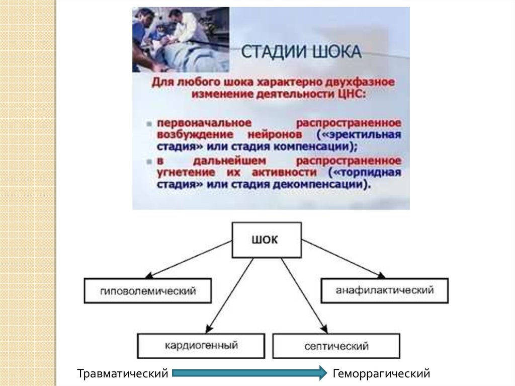 Стадия компенсации характерна. Для фазы шока характерно. Для первой фазы шока характерно. Для первой стадии шока характерно. Для стадии компенсации септического шока характерна.