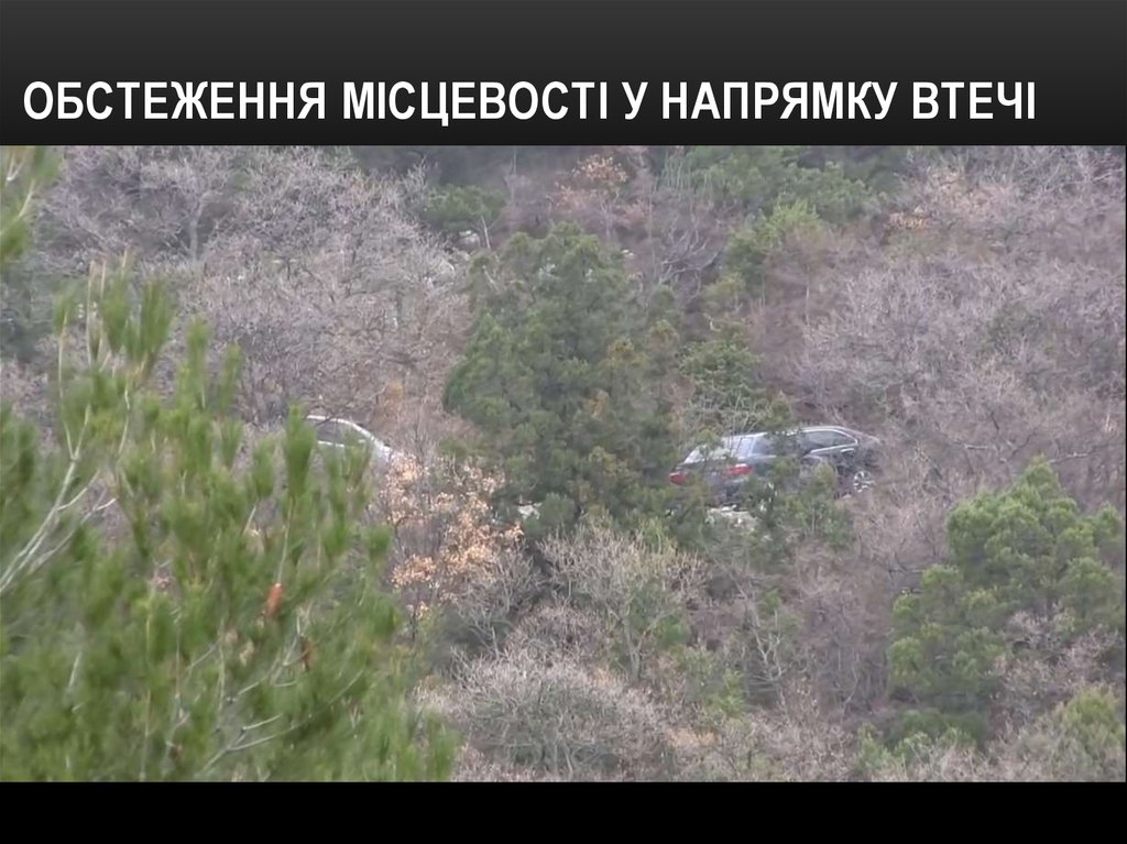 Обстеження місцевості у напрямку втечі