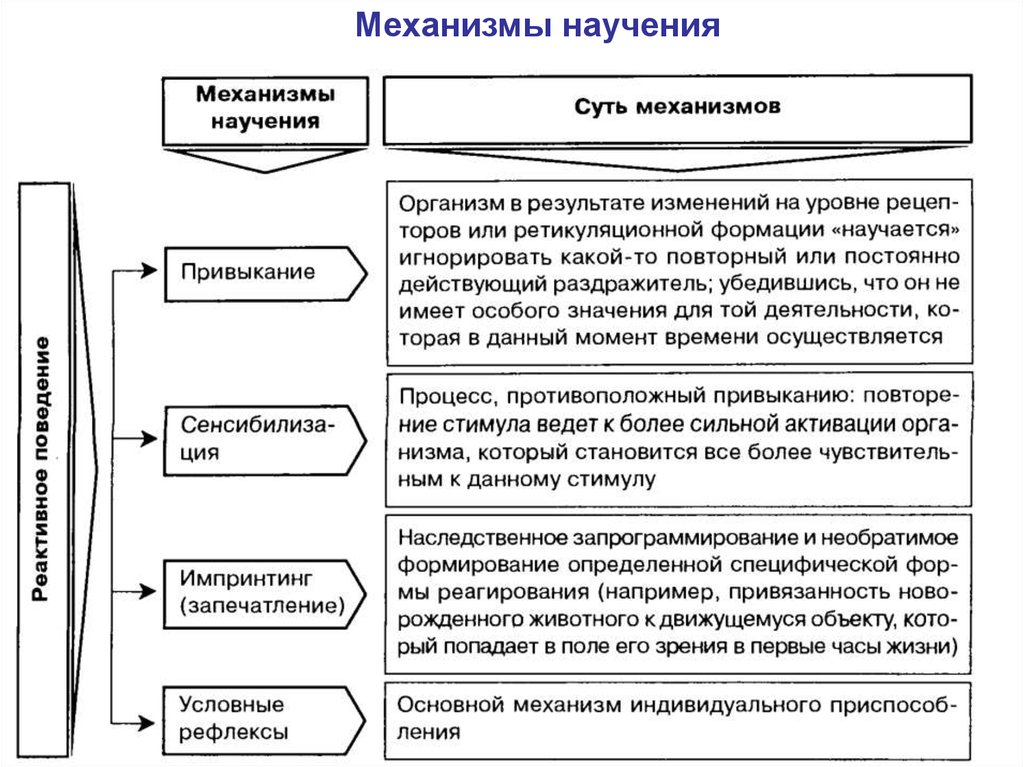 Особенности научения