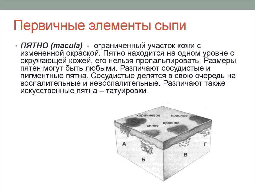 Пятно элемент сыпи. Первичные элементы сыпи. Первичные элементы высыпания. Первичные и вторичные морфологические элементы кожной сыпи. Первичные и вторичные морфологические элементы кожных высыпаний.