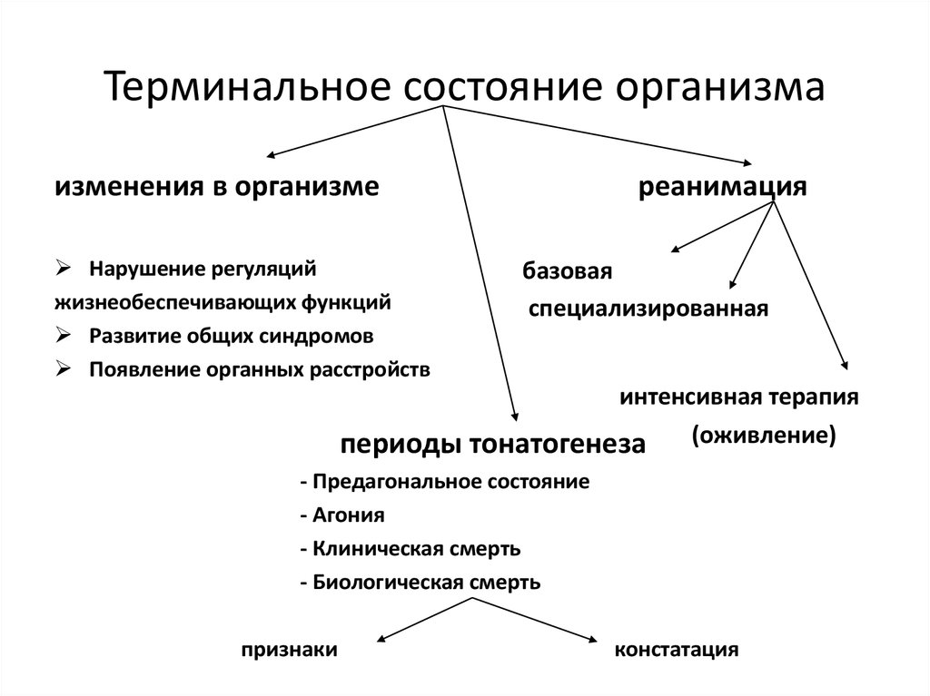 Периоды терминального состояния