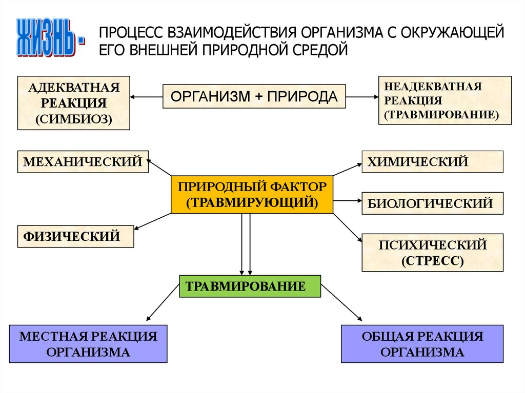 Взаимосвязи организмов и окружающей среды