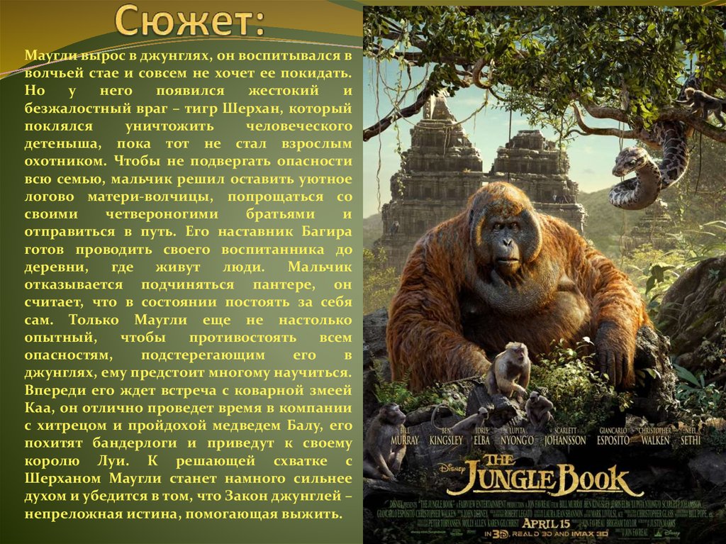 Закон джунглей книга 8. Кто вырос в джунглях. Книга джунглей 2016. Книга джунглей кратко. Книга джунглей (2016) - закон джунглей.