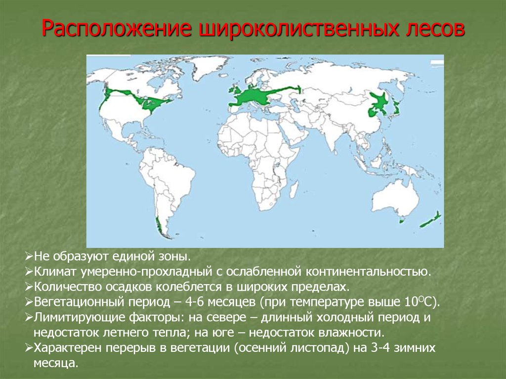 Карта широколиственных лесов россии