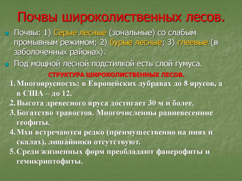 Особенности почвы смешанных и широколиственных лесов