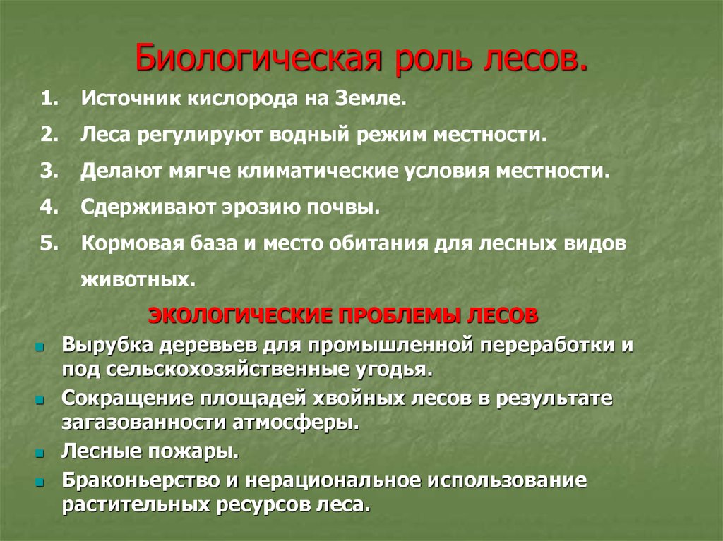 Используя материал краткой теории заполните схему экологические функции леса