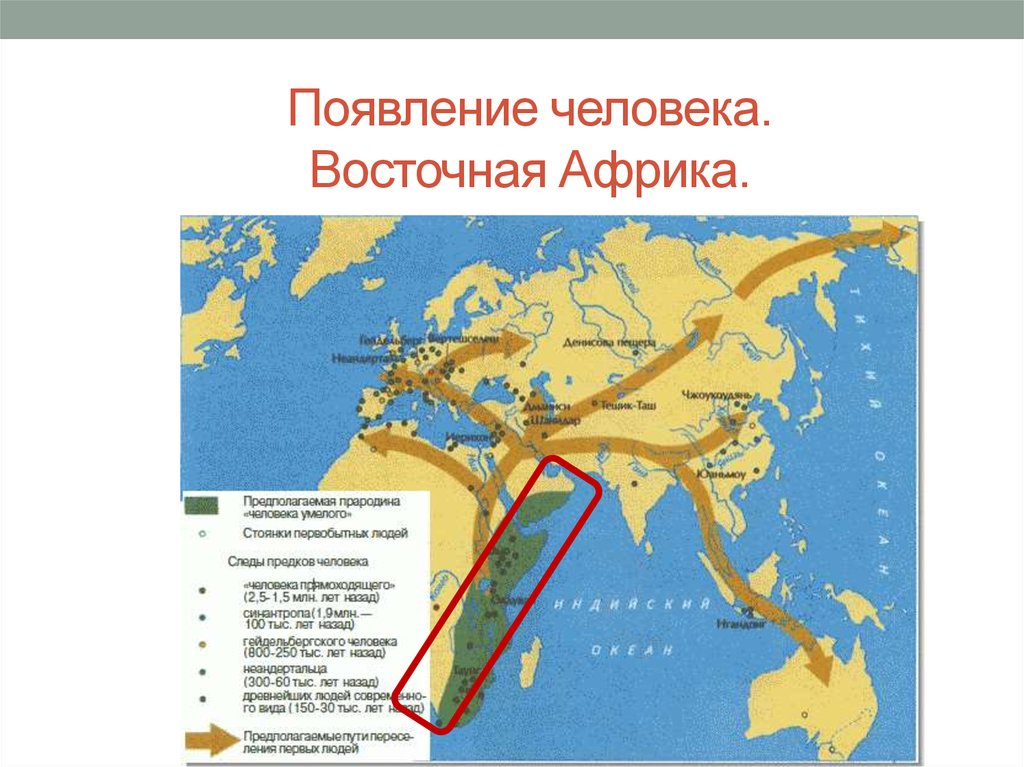 Прародина человека презентация 11 класс биология