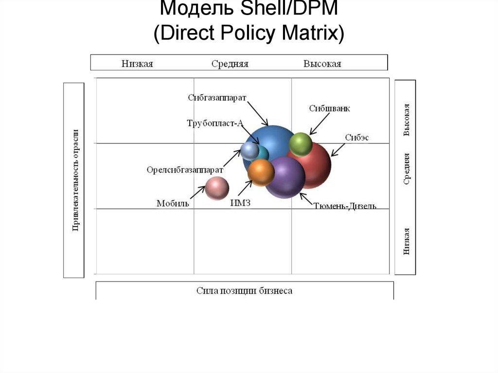 Модель Shell/DPM (Direct Policy Matrix)