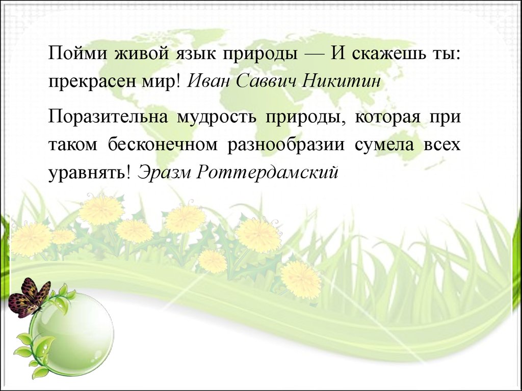 Сочинение жив. Сочинение о природе. Сочинение о живой природе. Сочинение на тему Живая природа. Сочинение мир природы.