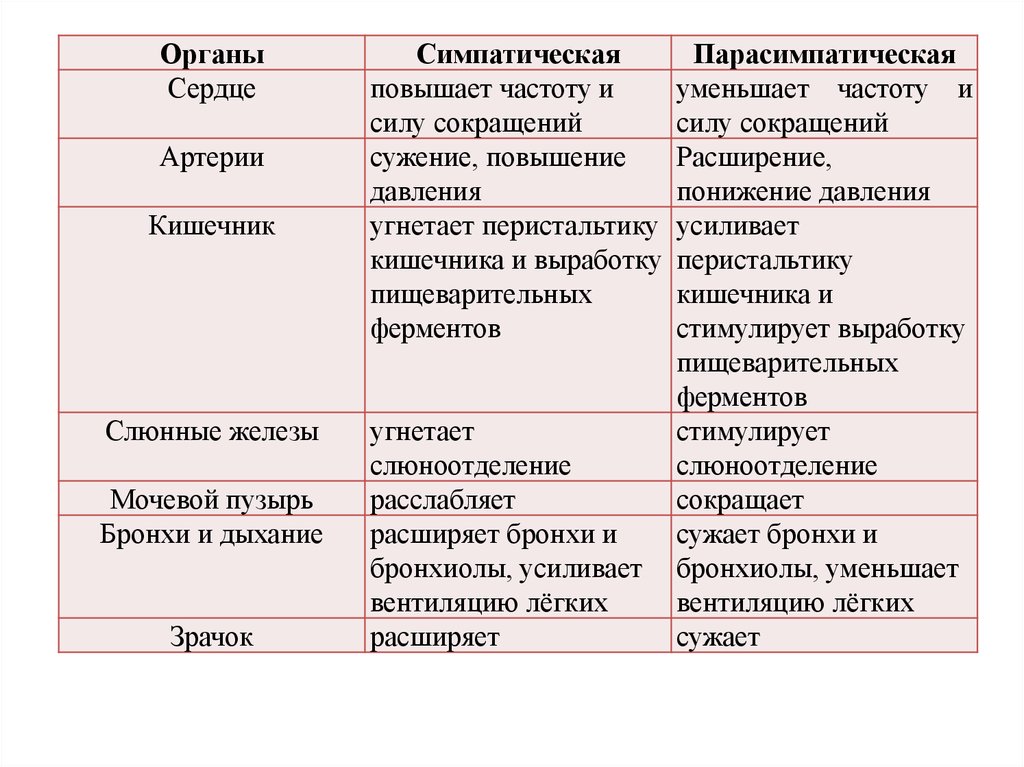 Снижают интенсивность обмена веществ симпатический