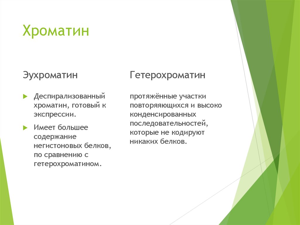 Эухроматин и гетерохроматин это. Эухроматин и гетерохроматин отличия. Эухроматин характеристика. Хроматин эухроматин. Понятие об эухроматине и гетерохроматине.