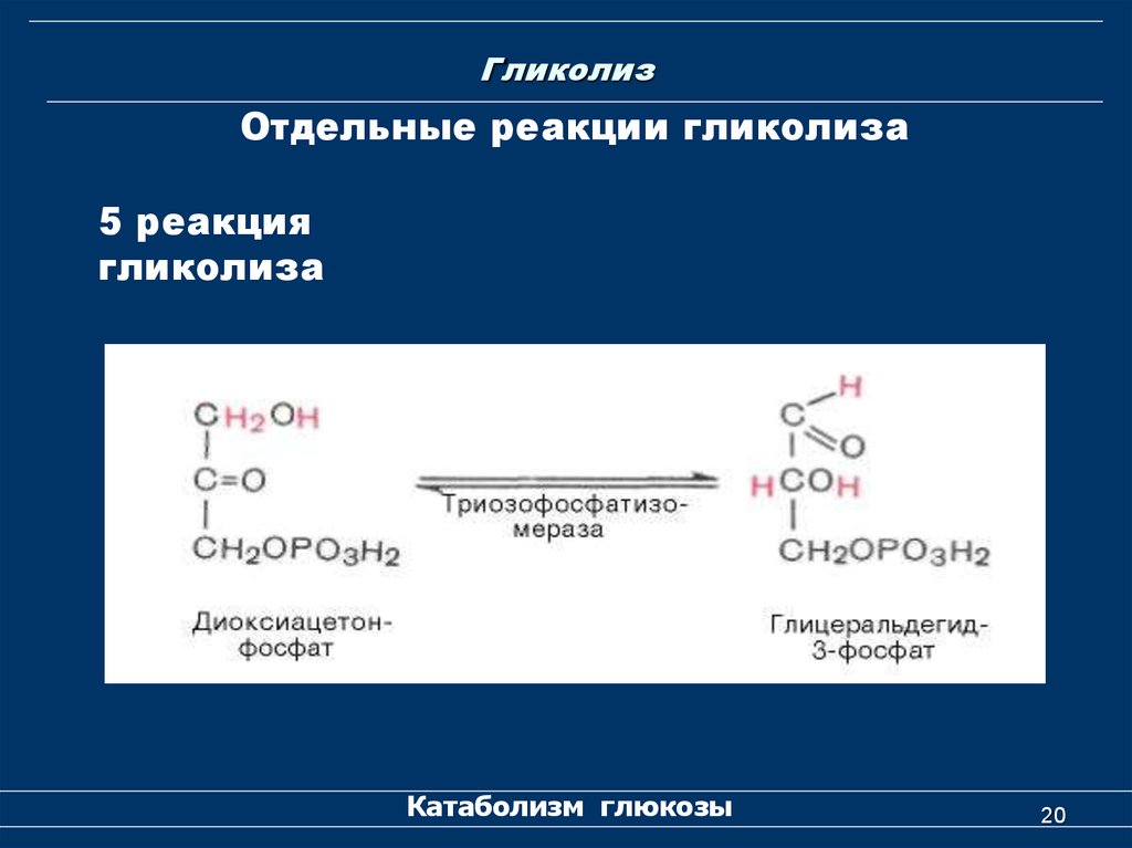Пятерка реакции. Коферменты гликолиза. 11 Реакций гликолиза. Аэробный гликолиз 11 реакций. Гликолиз 11 реакций биохимия.