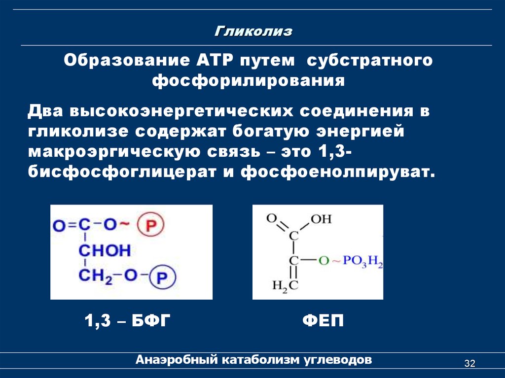 Образование веществ. Макроэргические соединения гликолиза. Субстратное фосфорилирование в гликолизе. Макроэргические соединения гли. Макроэргические соединения образующиеся в процессе гликолиза.