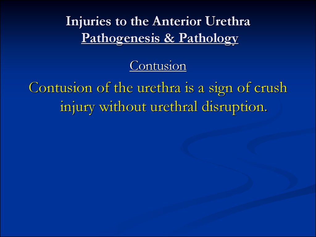 Injuries to the Anterior Urethra Pathogenesis & Pathology
