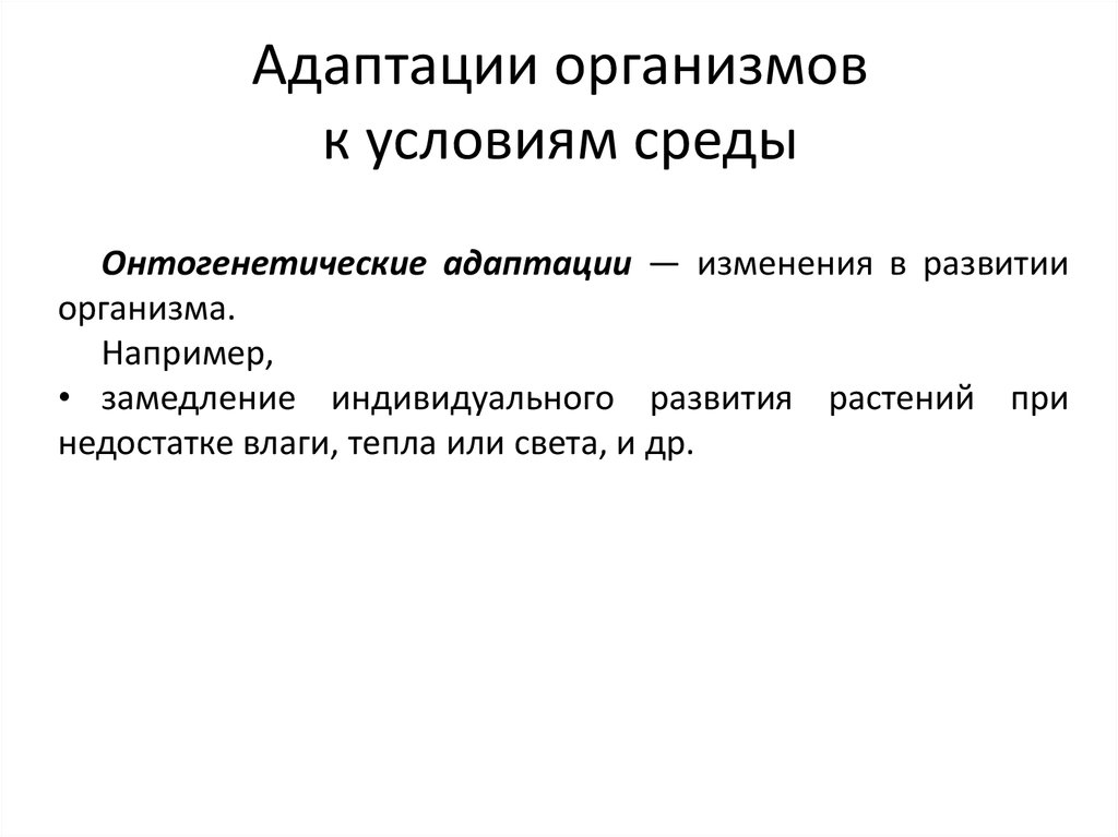 Адаптация организмов к условиям окружающей среды проект