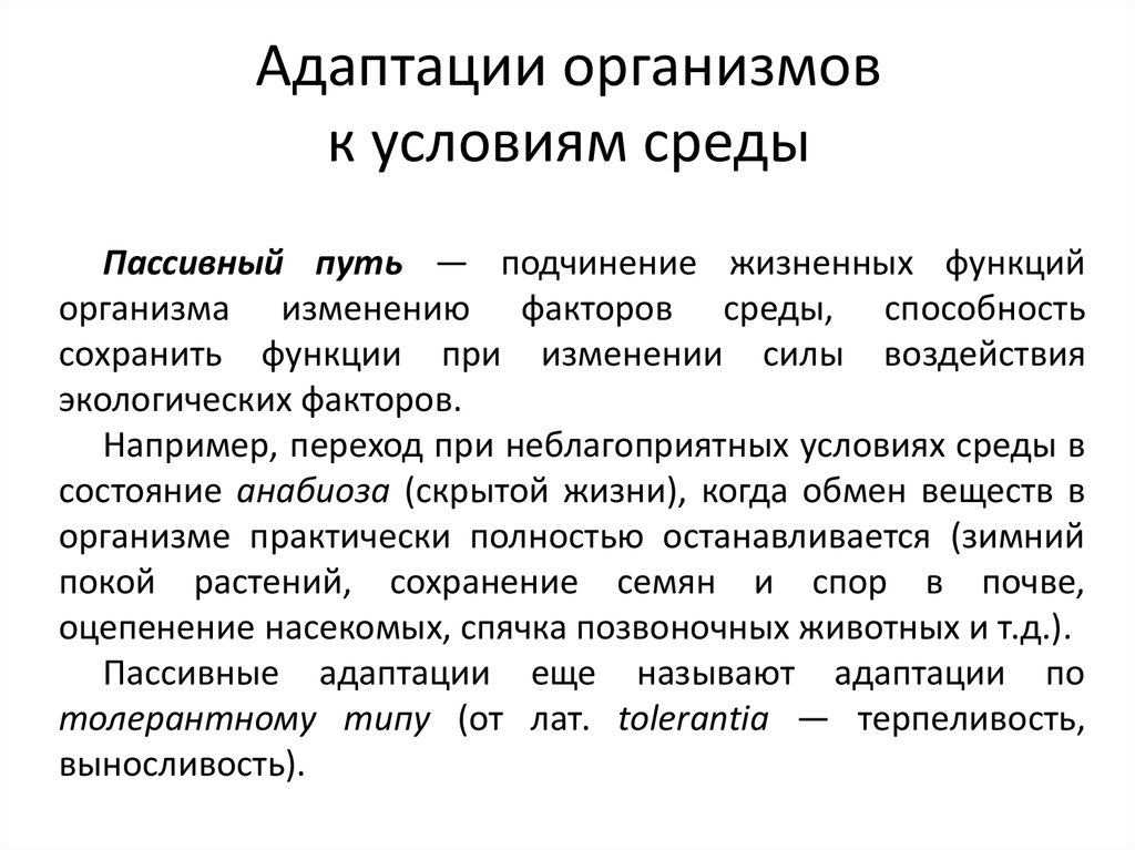 Организмы условия