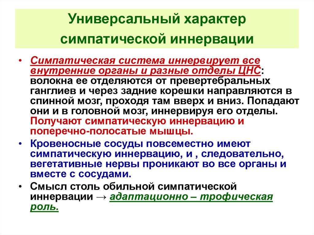 Универсальный характер. Универсальный характер это. Адаптационно трофическая роль вегетативной иннервации. Характер иннервации нервов. Универсальный характер симпатической иннервации вегетативной.