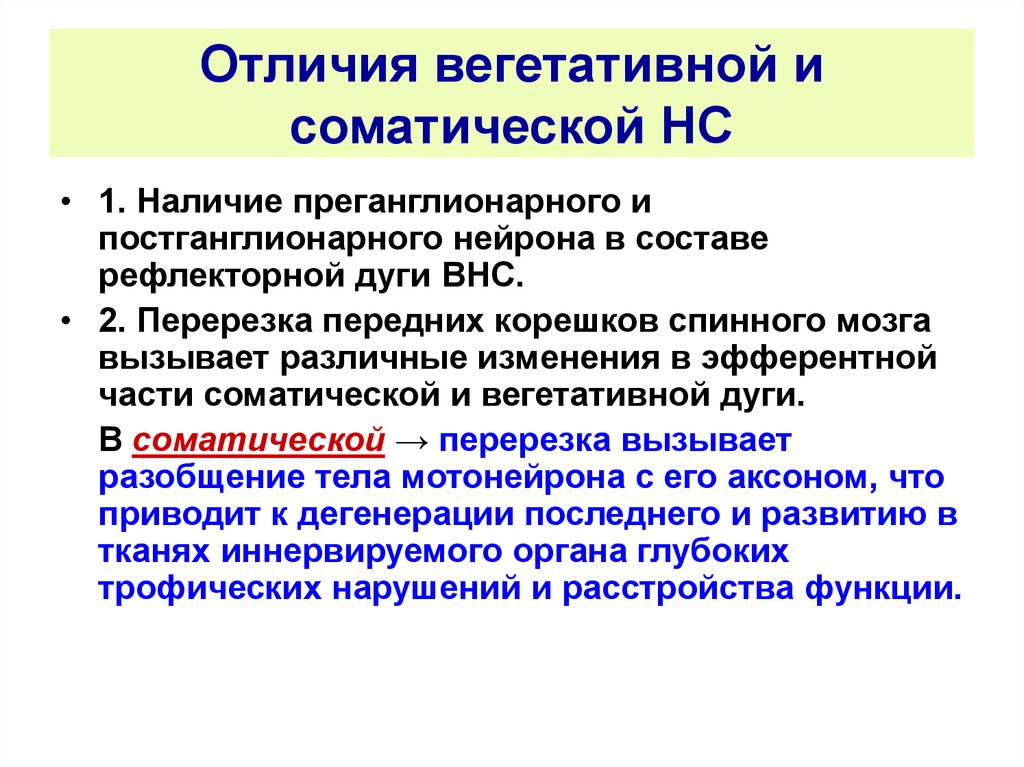 Чем отличается вегетативная. Исследование функций вегетативной нервной системы. Оценка функции вегетативной нервной системы. Оценка тонуса вегетативной нервной системы. Методы исследования нарушения вегетативной нервной системы.