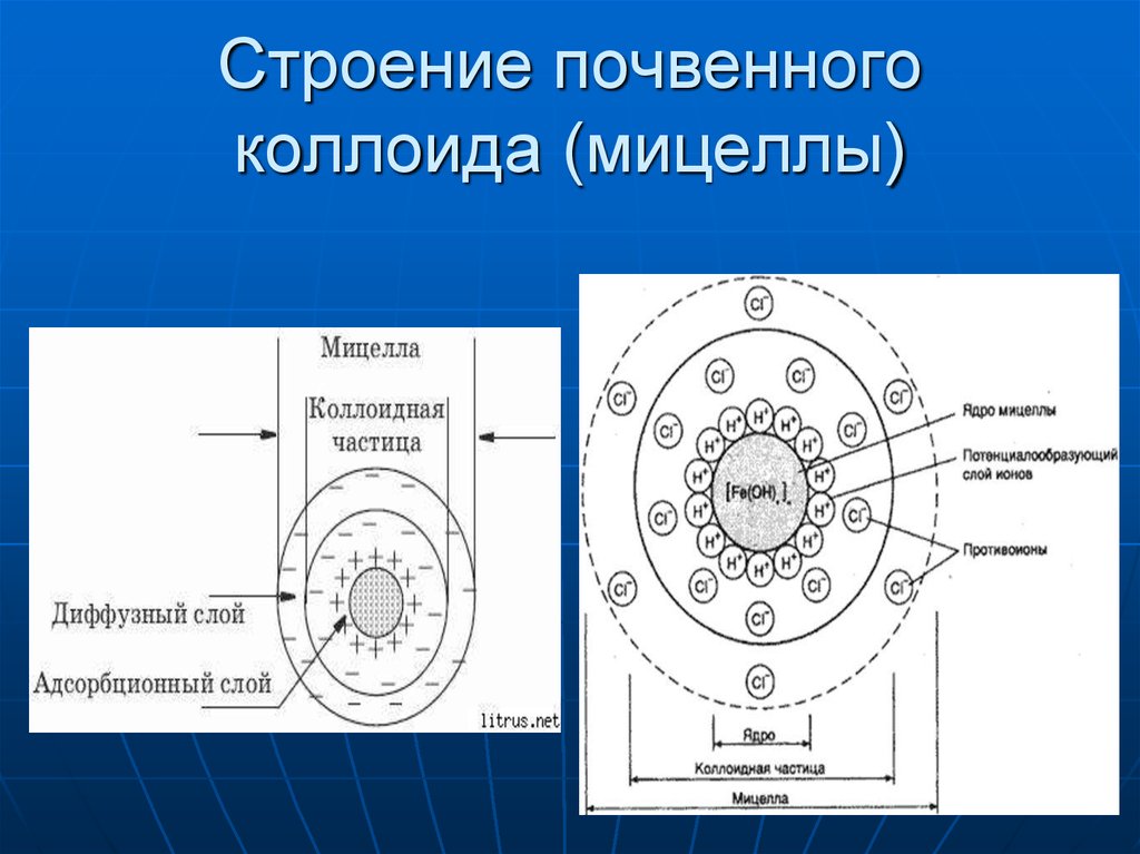 Схема строения коллоидной частицы с двойным электрическим слоем