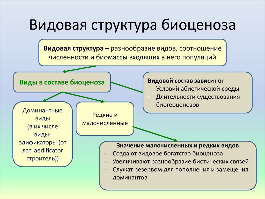 Количество видов биоценоза