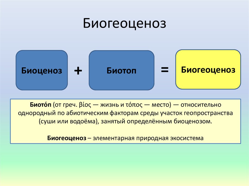 Биогеоценоз основа