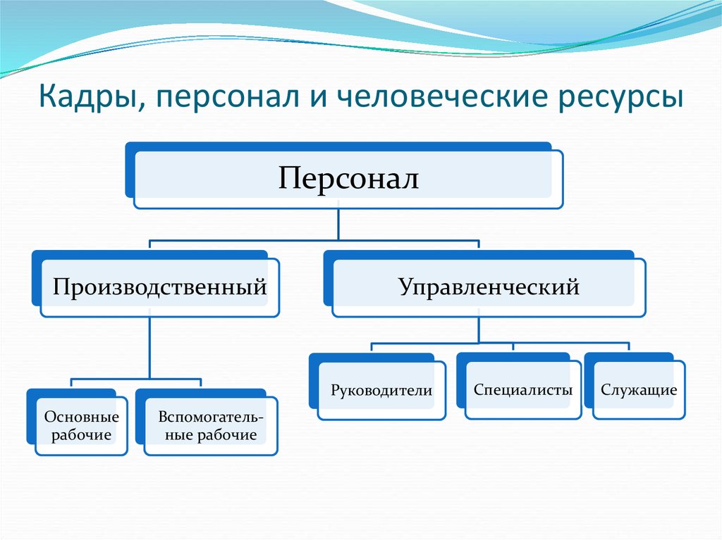 Кадры организации это