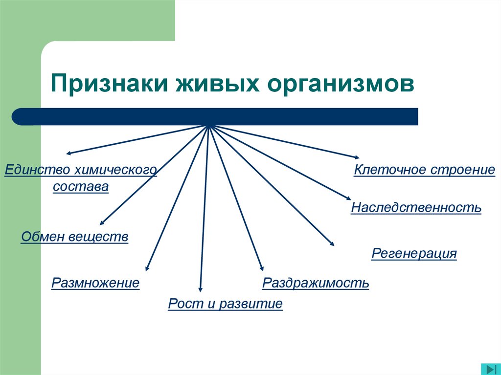 Схема признаки живого