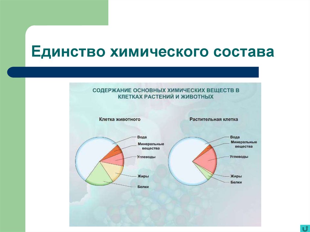 На диаграммах представлено содержание основных химических веществ в клетках растений и животных впр