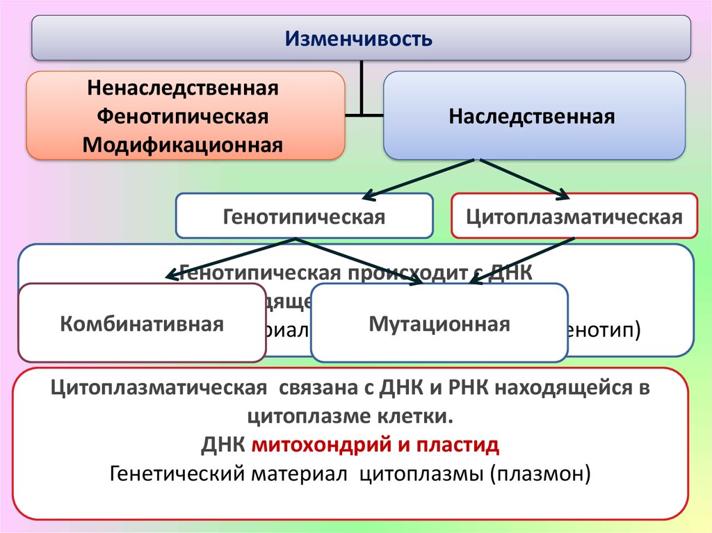 Изменчивость определяет