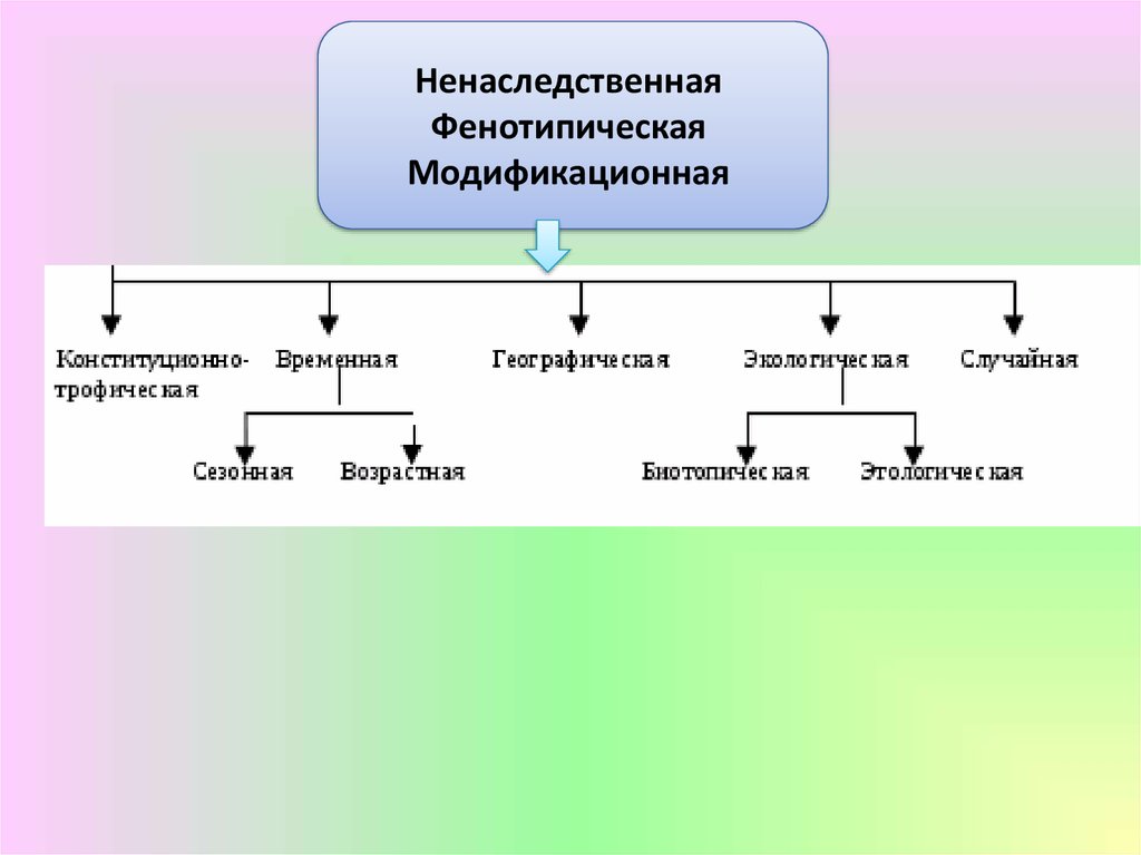 Факторы изменчивости