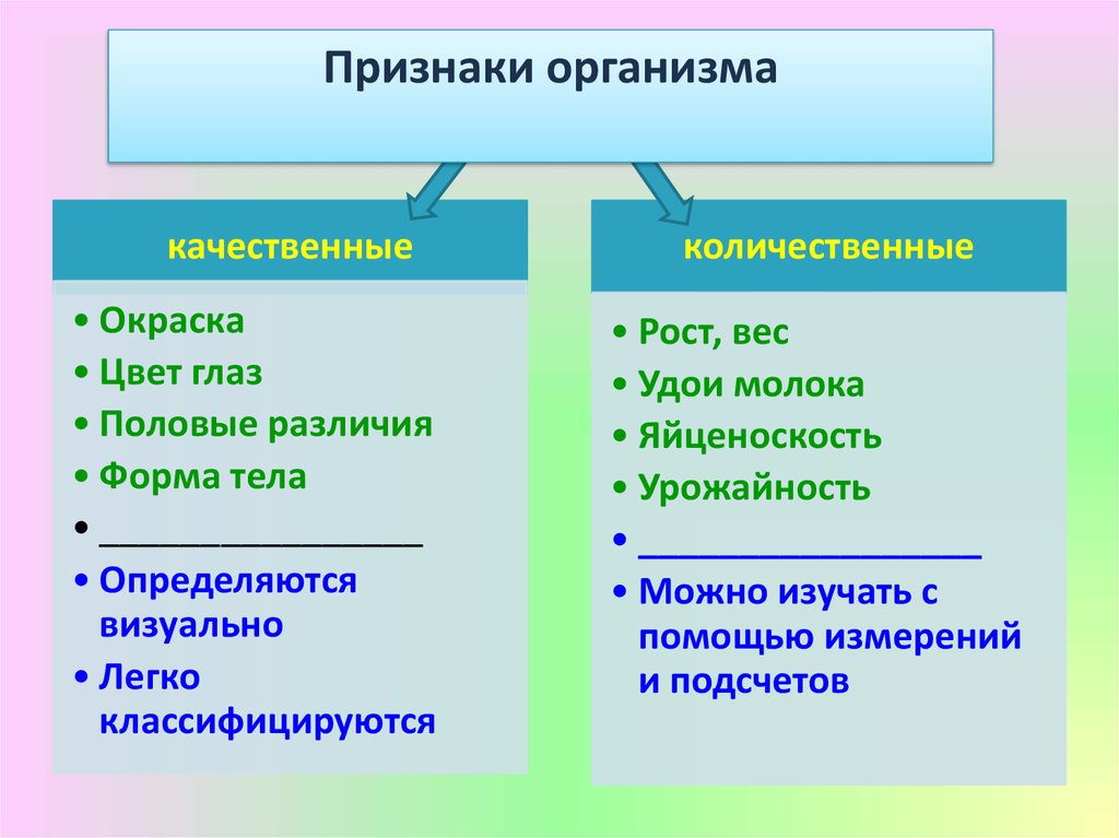 Для живых организмов характерна изменчивость