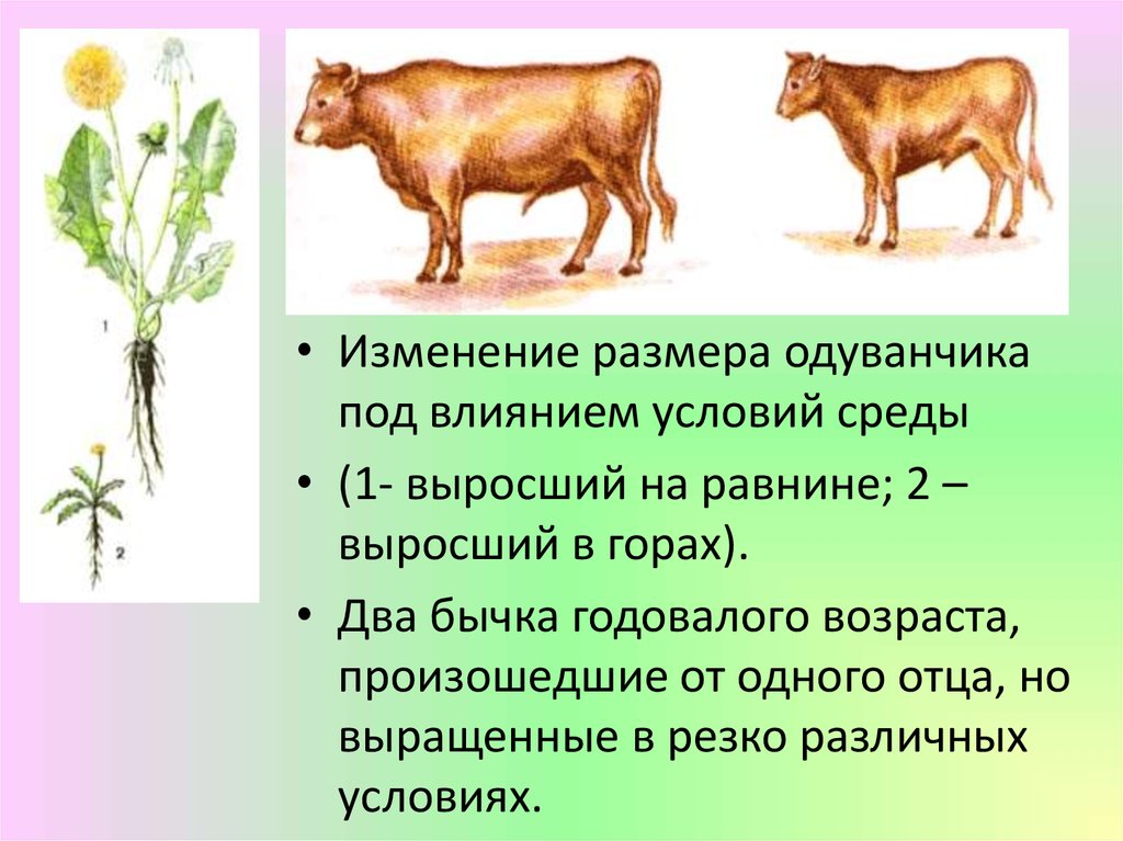 Резкое изменение условий среды