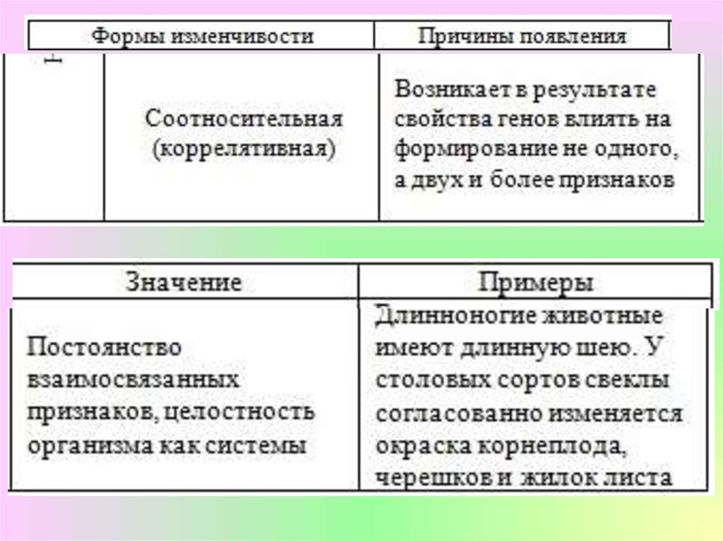 Соотносительная изменчивость. Соотносительная коррелятивная изменчивость. Значение соотносительной изменчивости. Причины появления соотносительной изменчивости. Коррелятивная изменчивость примеры.