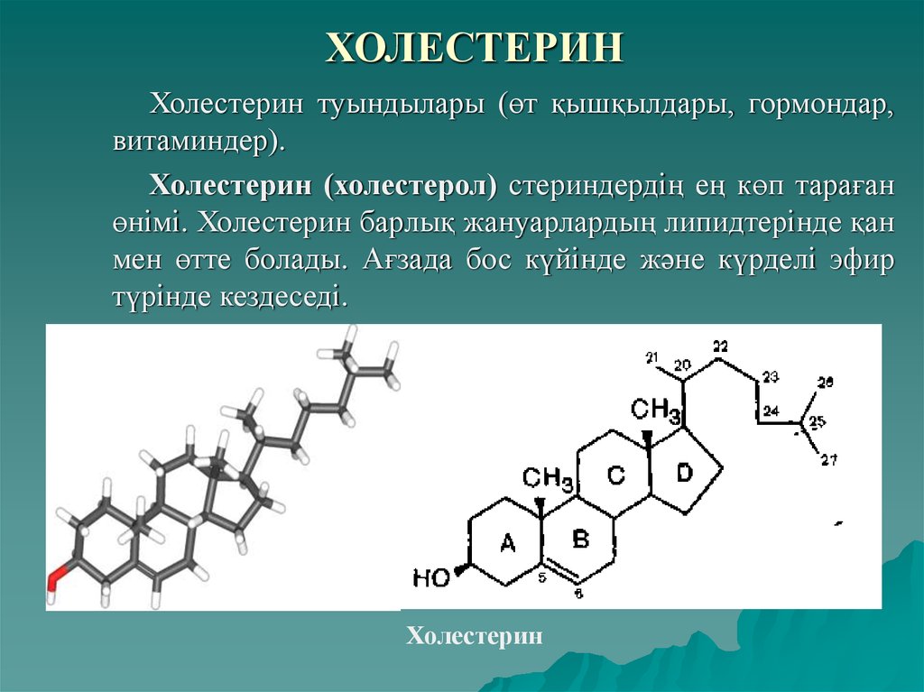 Холестерин презентация по химии