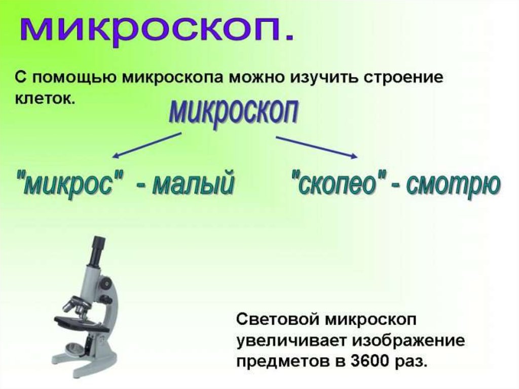 Презентация про микроскоп