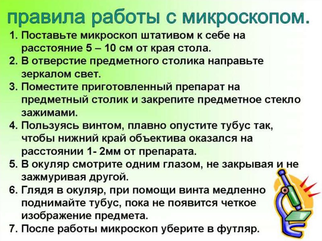 Как правильно пользоваться микроскопом