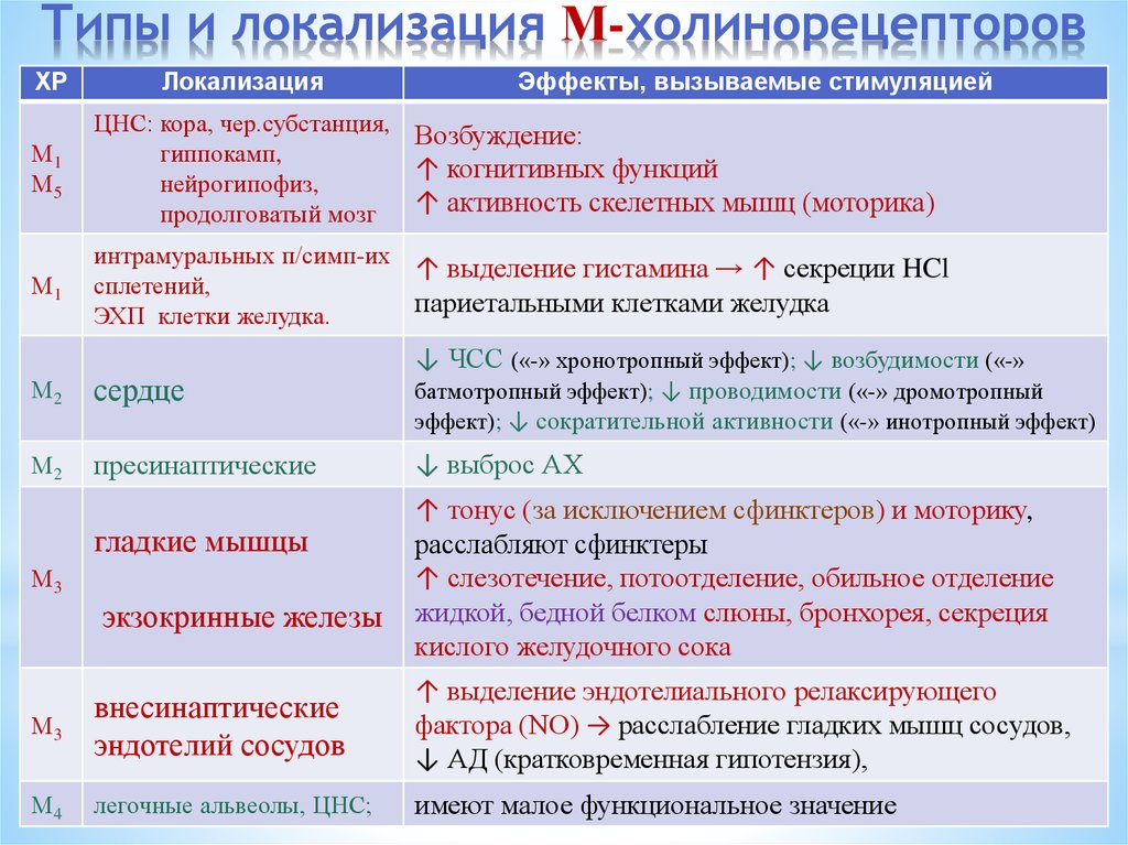 Типы и локализация М-холинорецепторов