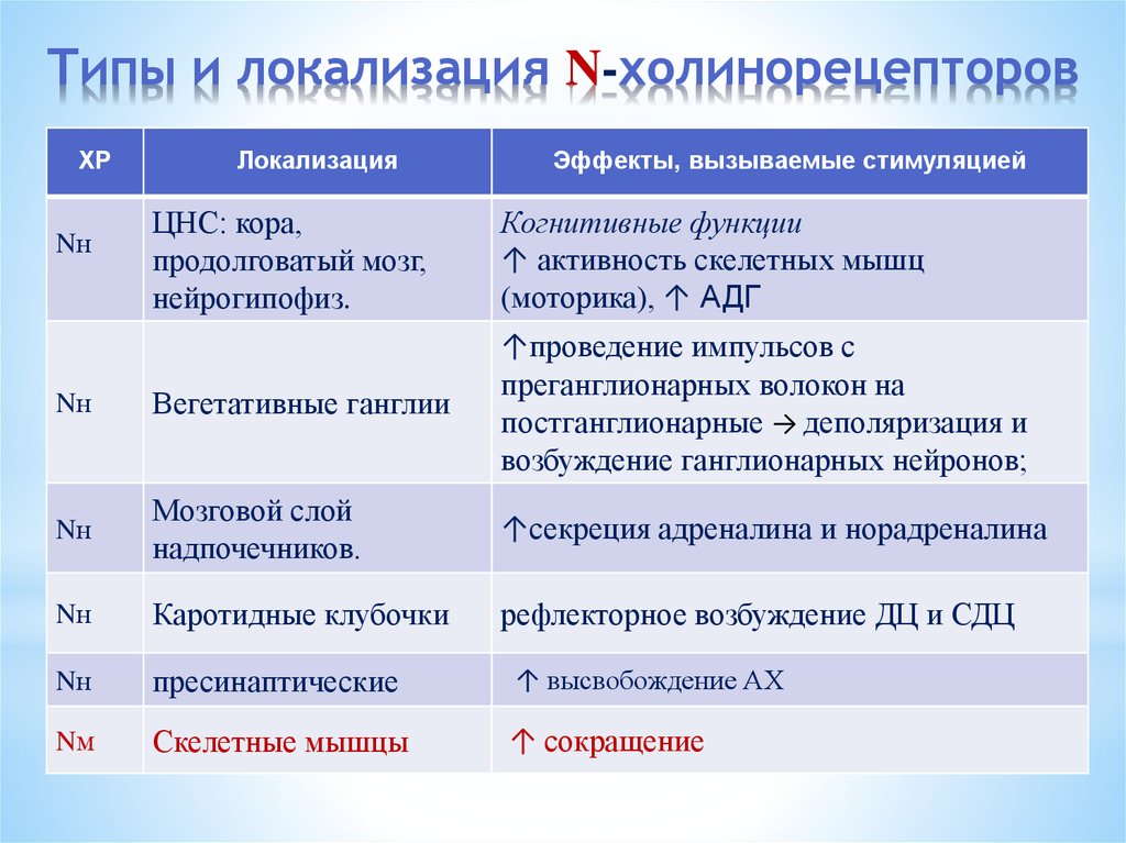 Вид n. Типы и структура м холинорецепторов. Локализация м2 и м3 холинорецепторов. Типы n холинорецепторов. Локализация м1 холинорецепторов.