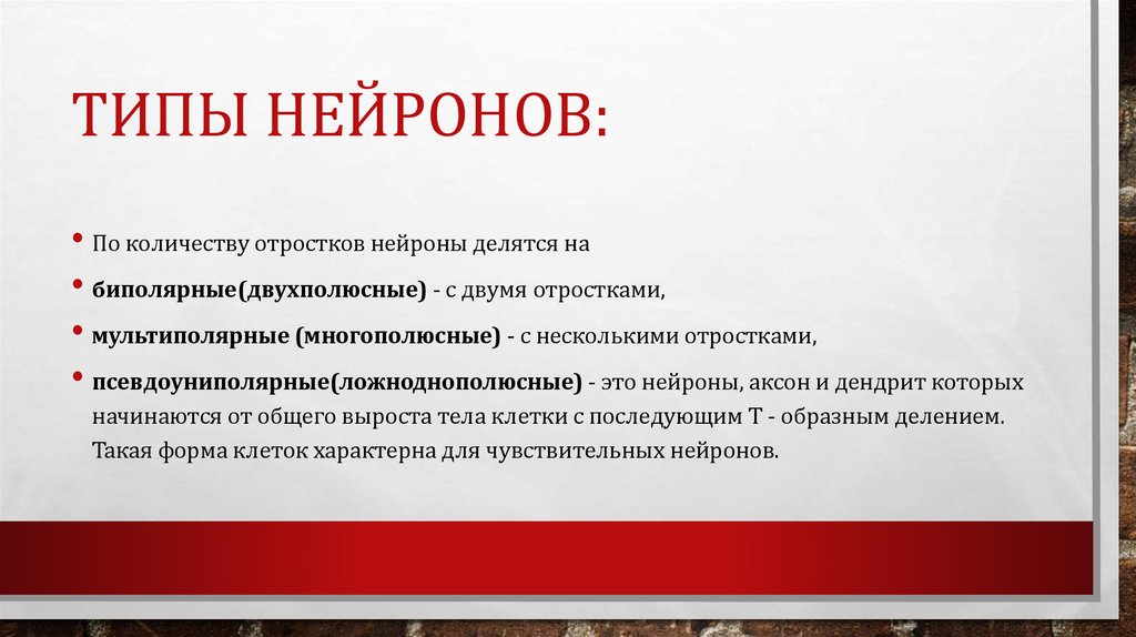 Типы нейронов: