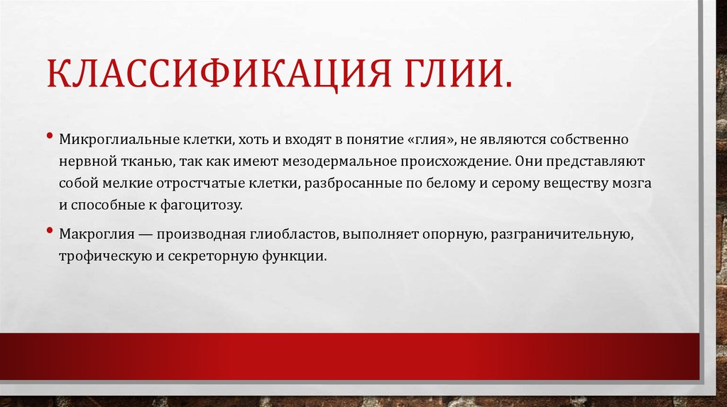 Классификация Глии.