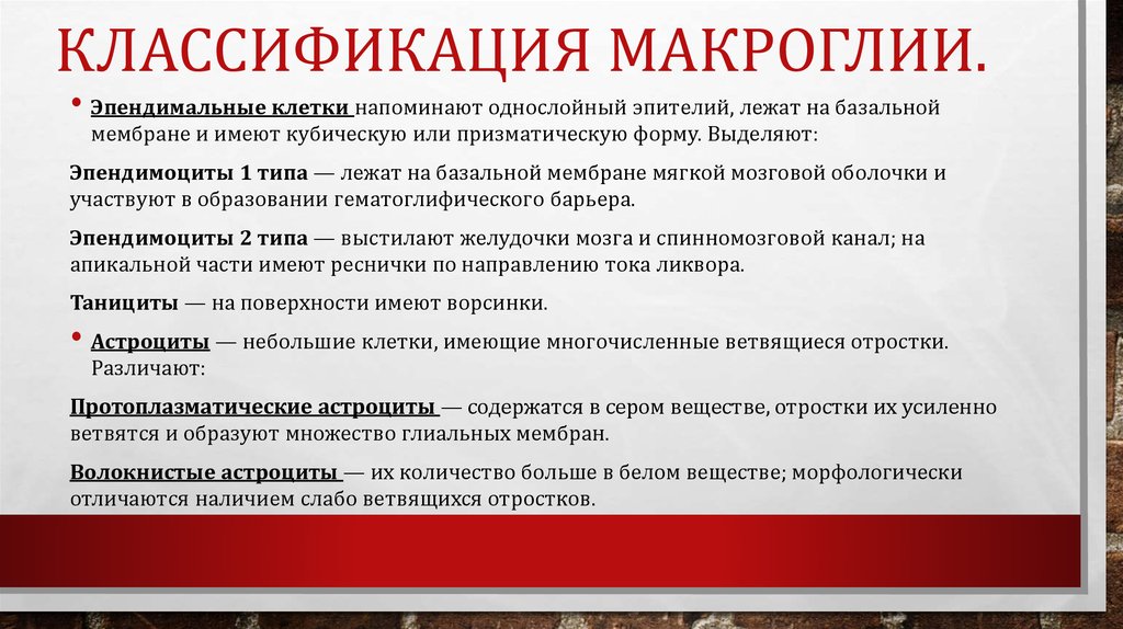 Классификация Макроглии.