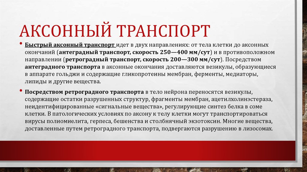 Аксонный транспорт