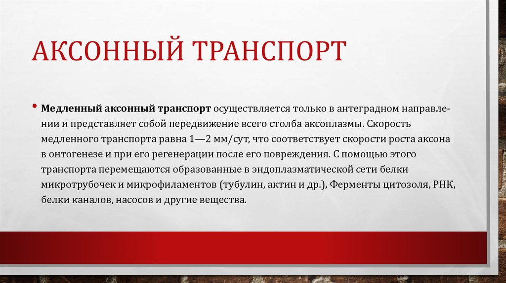 Аксонный транспорт