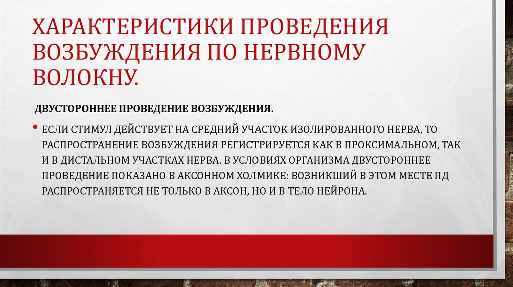 Возбуждение нервных волокон. Свойства проведения возбуждения по нервным волокнам. Характеристики проведения возбуждения по нервному. Двустороннее проведение возбуждения. Двустороннее проведение возбуждения по нервному волокну.