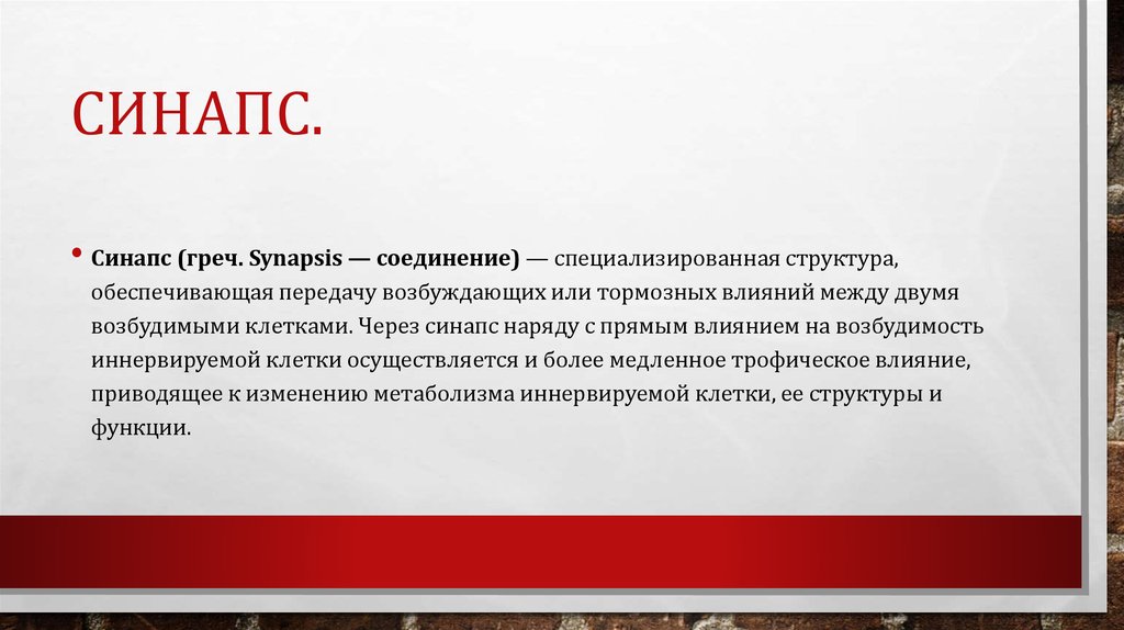 Синапс.