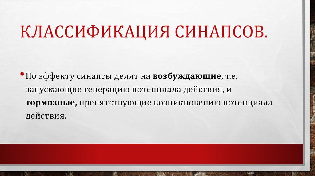 Классификация синапсов.