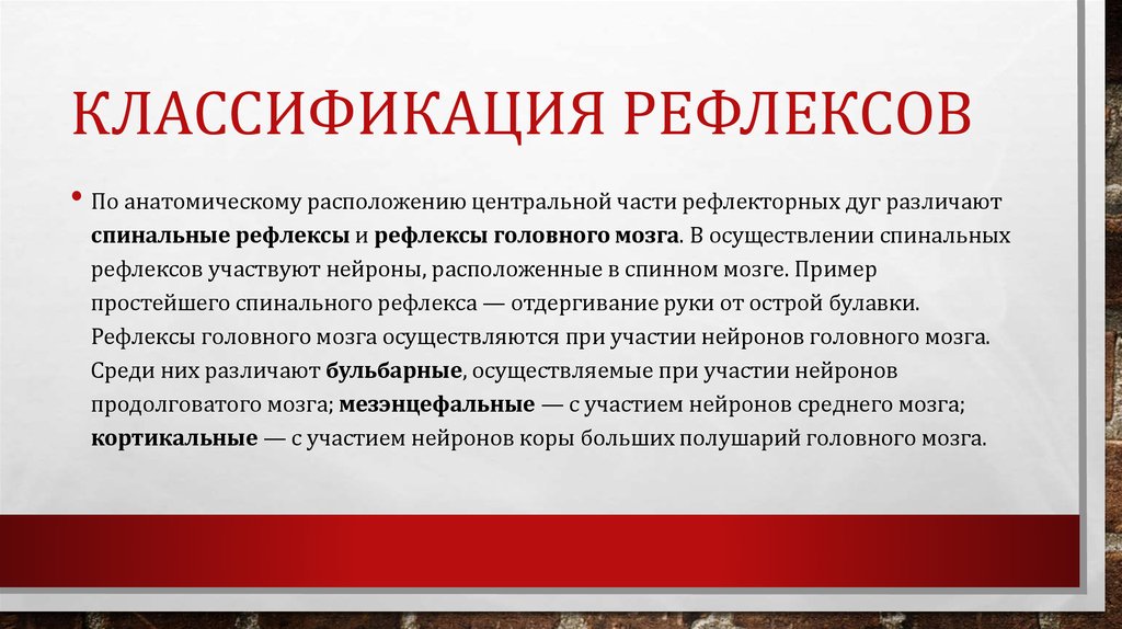 Классификация рефлексов