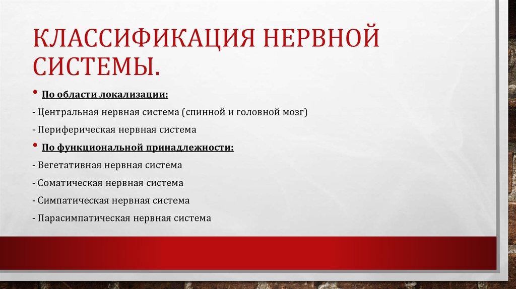 Классификация Нервной системы.