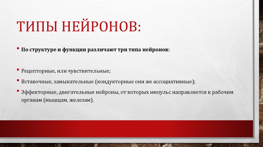 Типы нейронов: